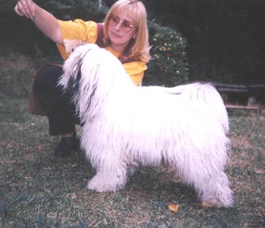Dany (07/1999)